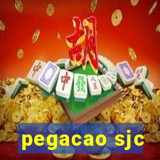 pegacao sjc